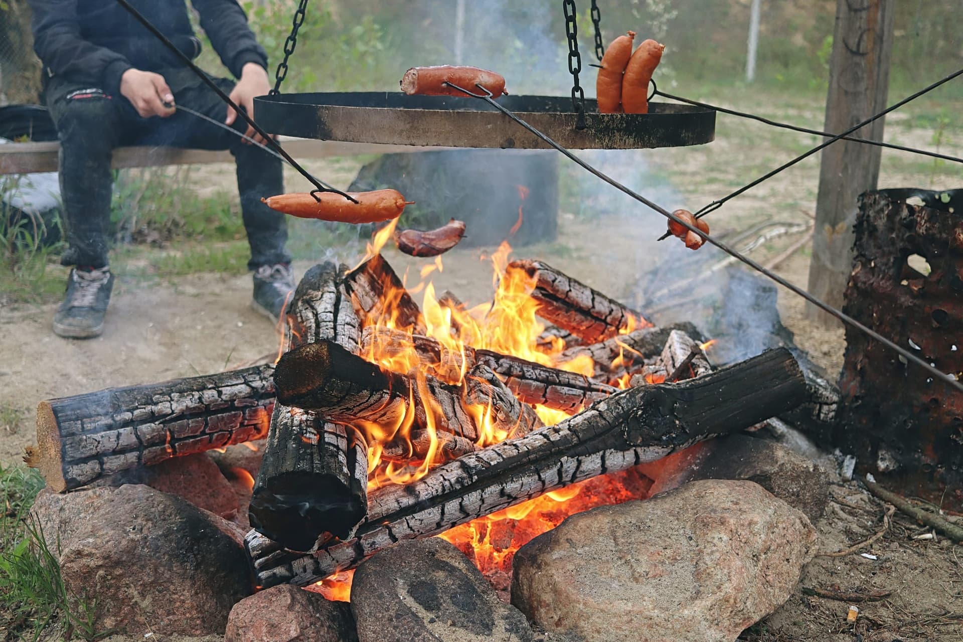 Zdjęcie 82