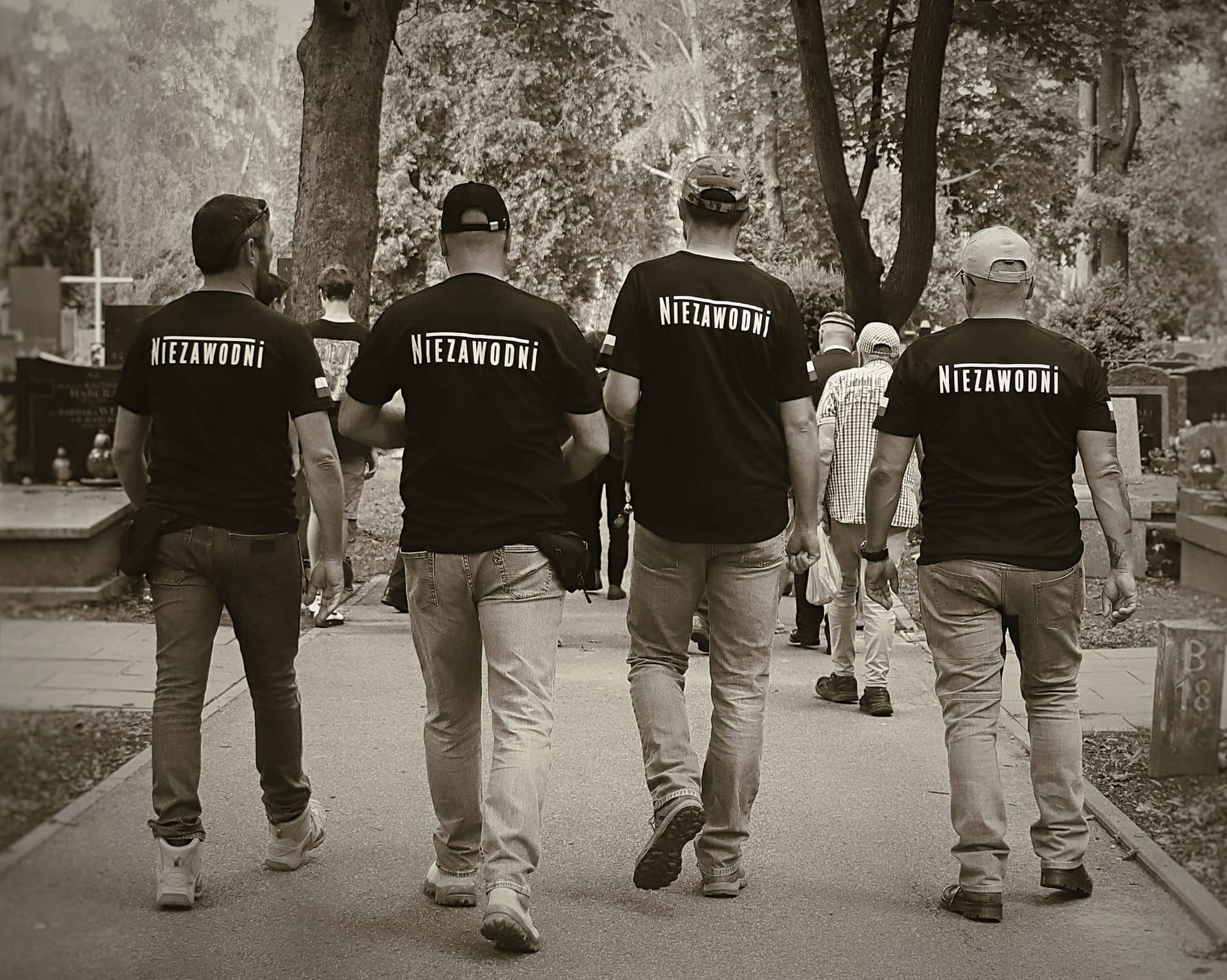Zdjęcie 131